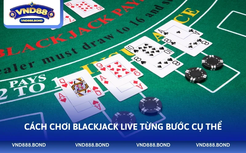 Cách chơi Blackjack Live từng bước cụ thể