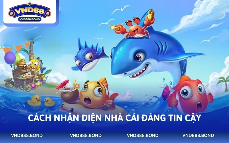 Cách nhận diện nhà cái đáng tin cậy