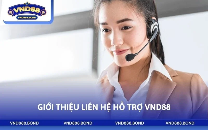Giới thiệu liên hệ hỗ trợ VND88
