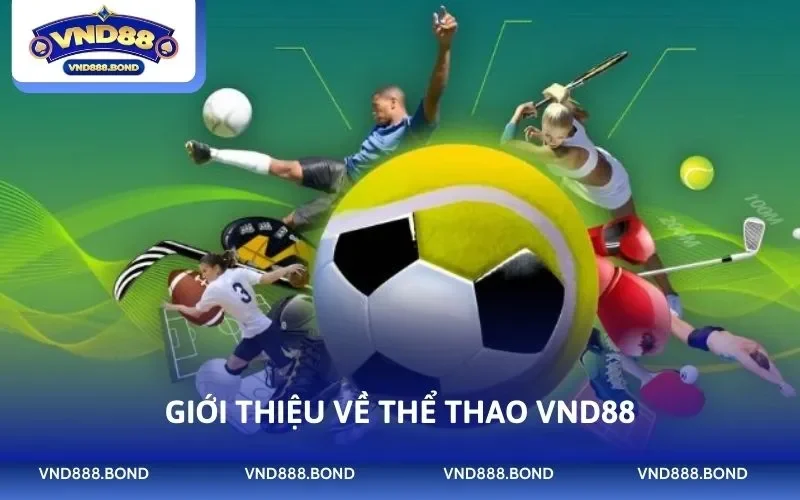 Giới thiệu về thể thao VND88