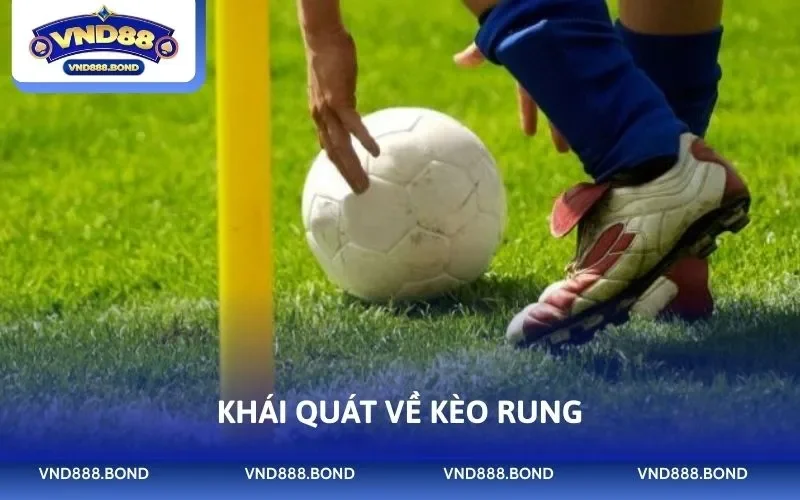 Khái quát về kèo rung