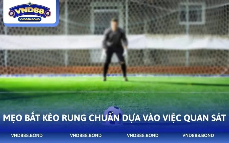 Mẹo bắt kèo rung chuẩn dựa vào việc quan sát
