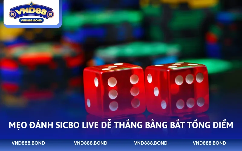Mẹo đánh Sicbo Live dễ thắng bằng bắt tổng điểm