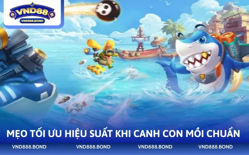 Mẹo tối ưu hiệu suất khi canh con mồi chuẩn 