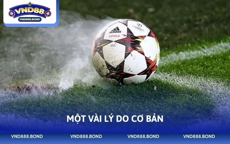 Một vài lý do cơ bản