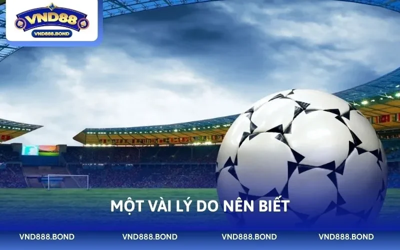 Một vài lý do nên biết