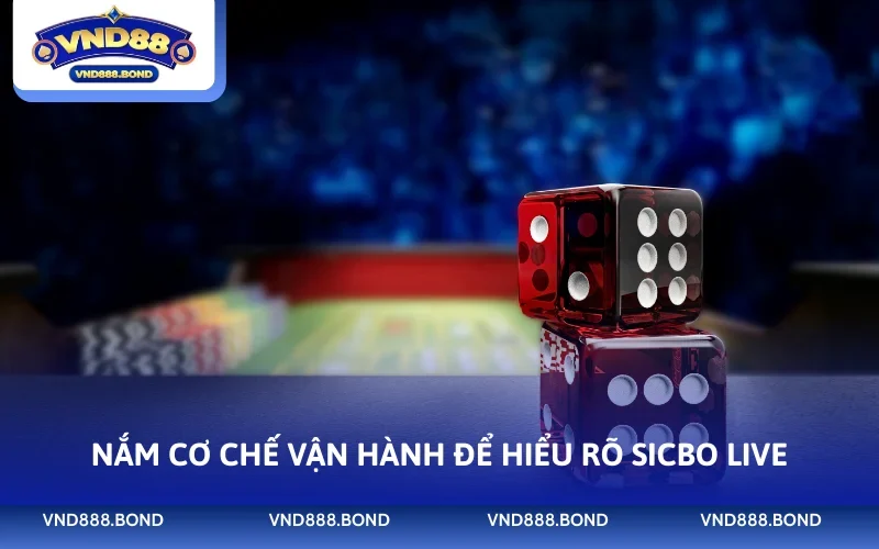 Nắm cơ chế vận hành để hiểu rõ Sicbo Live