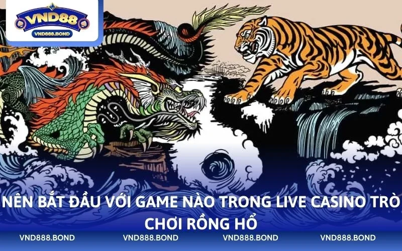 Nên bắt đầu với game nào trong live casino trò chơi rồng hổ