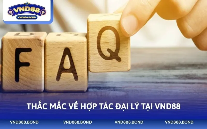 Thắc mắc về hợp tác đại lý tại VND88
