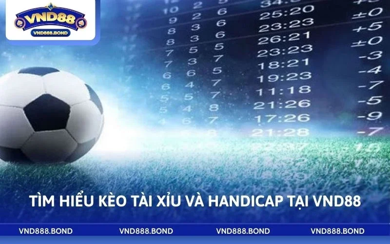 Tìm hiểu kèo tài xỉu và handicap tại VND88