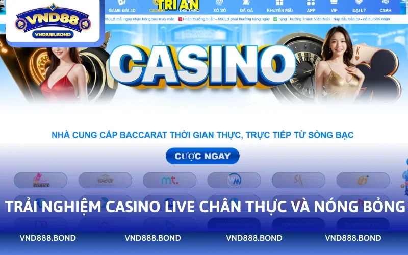 Trải nghiệm Casino Live chân thực và nóng bỏng