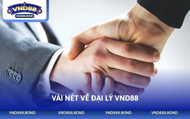 Vài nét về đại lý VND88
