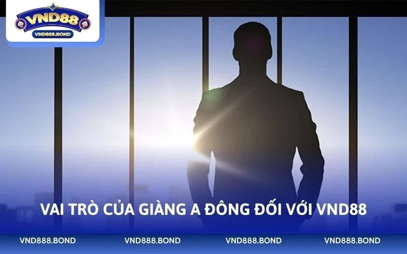 Vai trò của Giàng A Đông đối với VND88